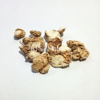 Củ địa liền khô (tam nại) NT15