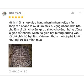 Combo 600 viên nén xơ dừa
