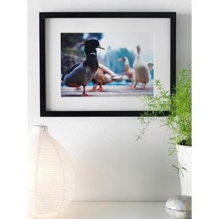 Khung ảnh 30x40 HOVSTA IKEA chính hãng