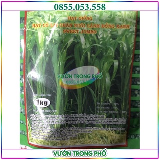Hạt giống cỏ chăn nuôi cao lương Sweet Jumbo - gói 500g