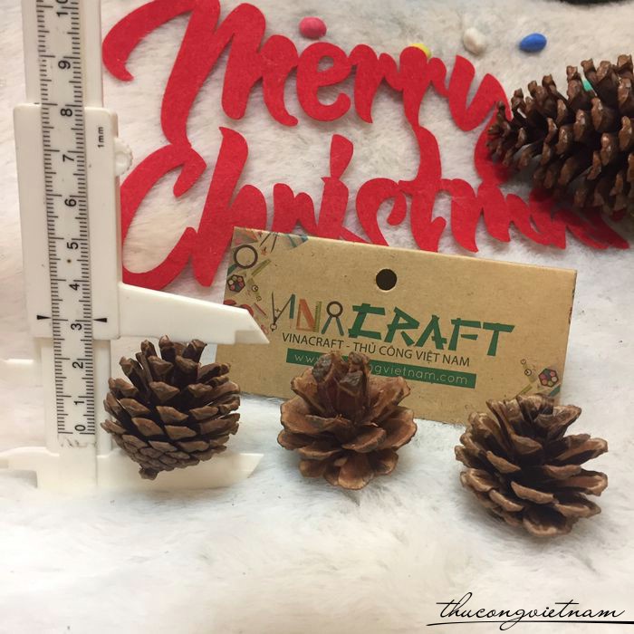 Quả thông khô trang trí