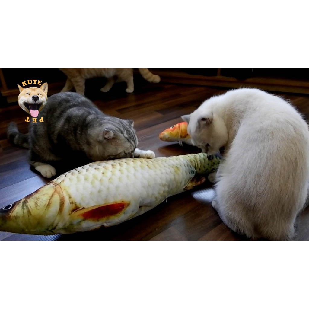 Đồ chơi cá catnip cho mèo