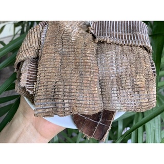 Đỗ trọng loại 1 - 100g