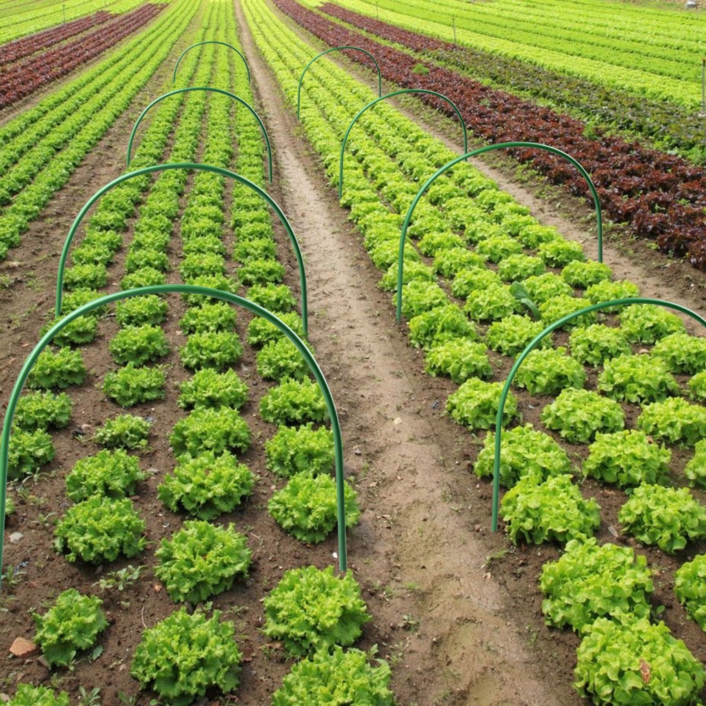 Set 6 Que Hỗ Trợ Trồng Cây 6 Que Màu Xanh Lá Cây