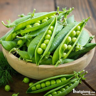 [HOT] Hạt Giống Đậu Hà Lan(50grm)