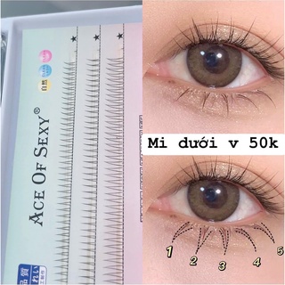 [Tặng kèm keo dán và nhíp nhỏ] Mi dưới chữ V