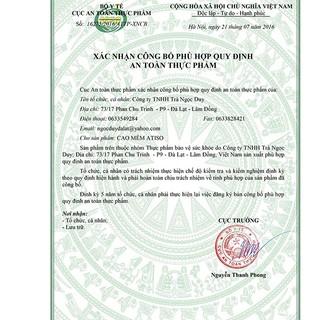Cao nước Atiso Ngọc Duy
