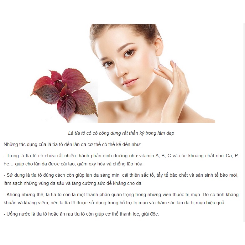 Nước hoa hồng lotion toner tía tô giảm mụn sáng da mờ tàn nhang nám - handmade nhà làm