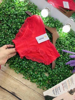 Combo 10 quần chip cotton phối ren