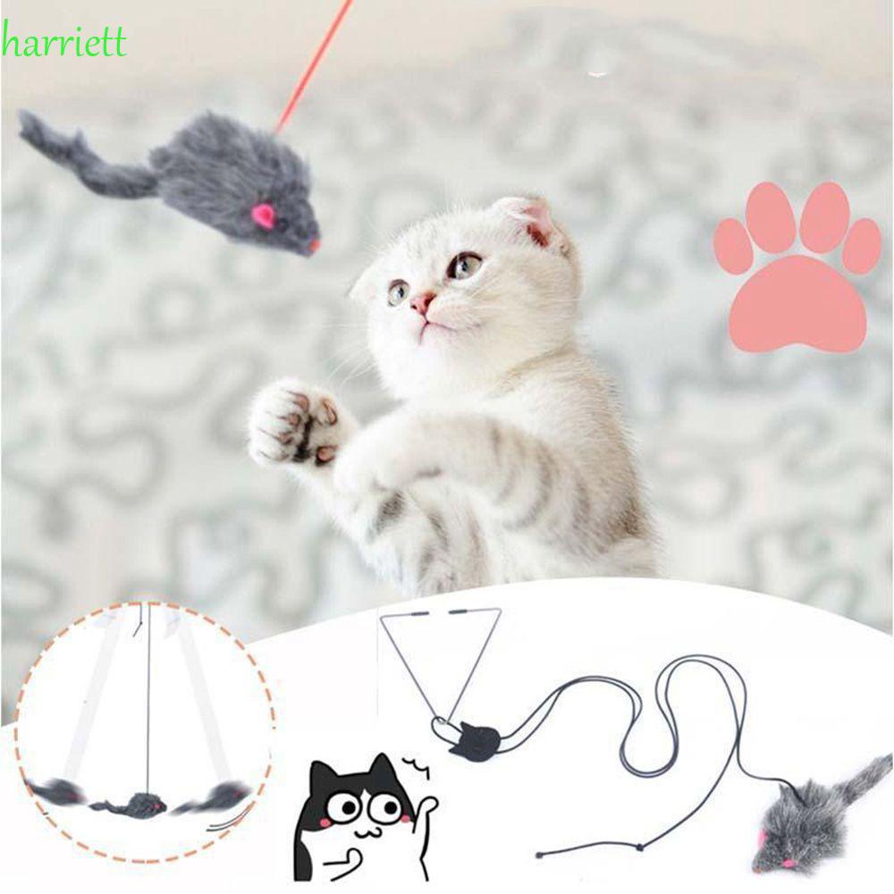 Dây treo tự chơi hình tam giác với chuột giả đính lông nhung vui nhộn dành cho mèo cưng có thể tháo rời