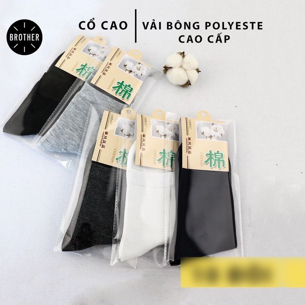 Tất cổ cao cho nam - Chất liệu cotton bông cao cấp, công nghệ khử mùi và chống hôi chân của Nhật Bản 2M THE BASIC