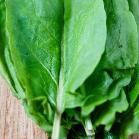 1Gr Hạt Giống Rau Chua Sorrel luckyseed hạt siêu rẻ