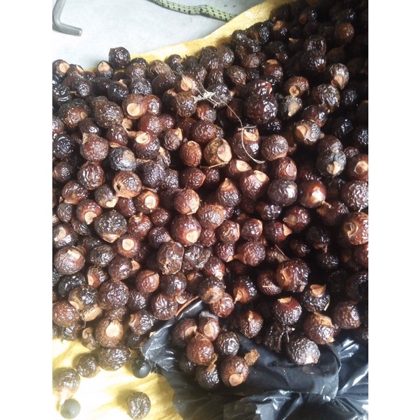 Bồ hòn tách hạt 1kg (loại 1)