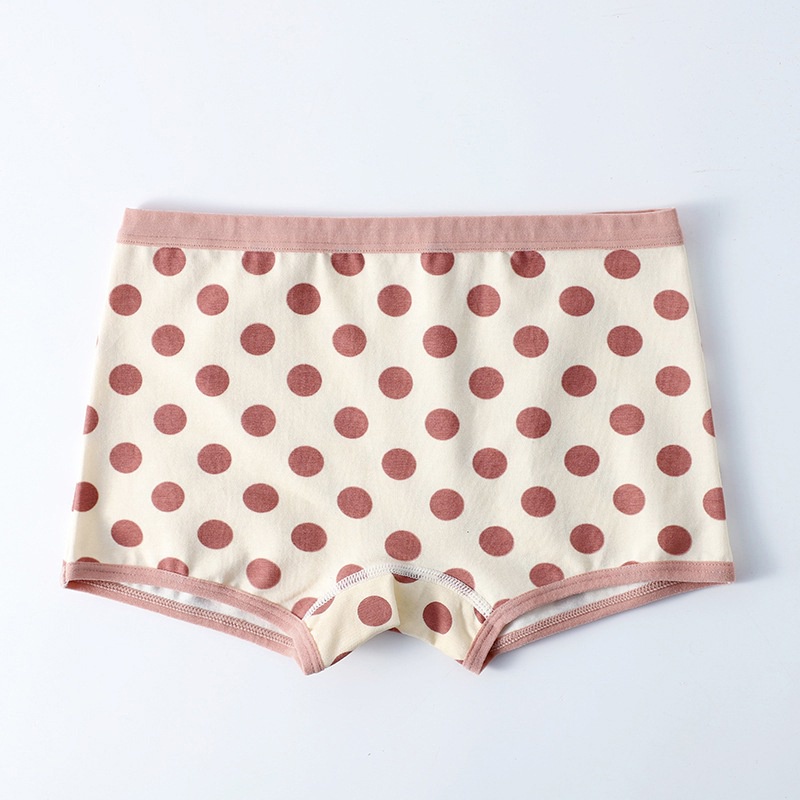 Bộ 3 Quần Lót Vải Cotton Nguyên Chất Kháng Khuẩn Cho Bé Gái