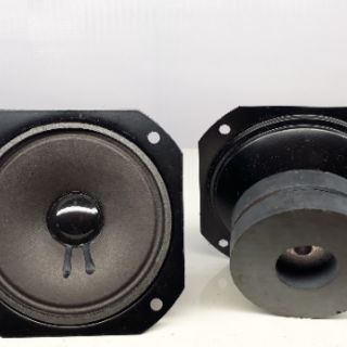 2 loa tép 10  từ kép
