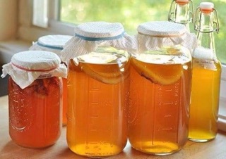 Nấm thuỷ sâm+ men làm sữa chua