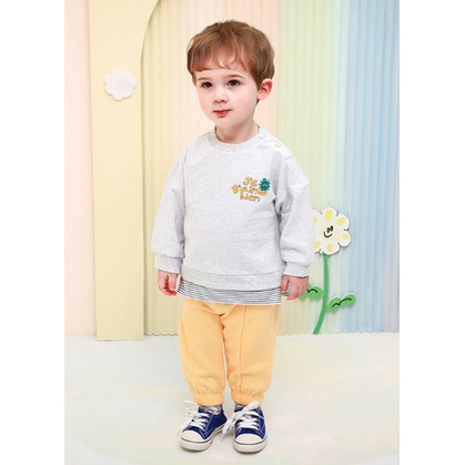 Quần nỉ  gấu chun trơn màu, họa tiết các loại chính hãng MilkMile MM2