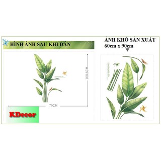 Decal dán tường lá chuối xanh