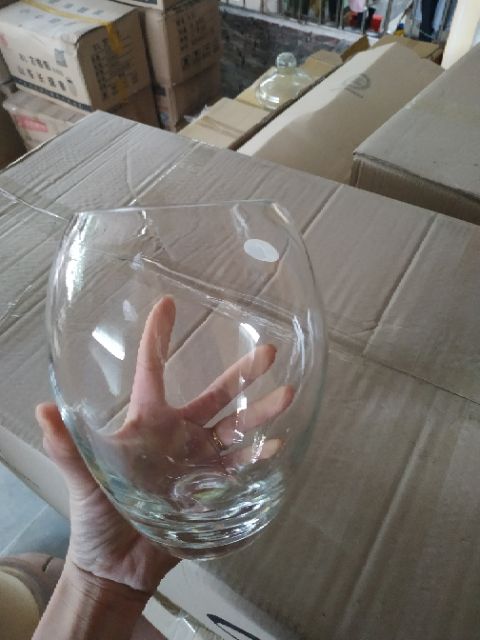 Bể cá thủy tinh, chậu thủy sinh hình chum