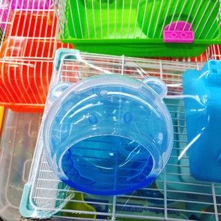 Nhà tắm mặt mèo kitty siêu cute