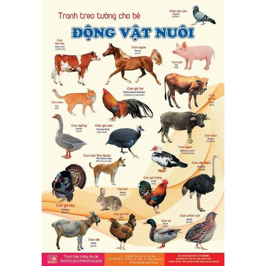 Tranh Treo tường Bách khoa toàn thư 14 chủ đề thế giới xung quanh loại đẹp giúp bé nhận biết nhanh, thông minh hơn