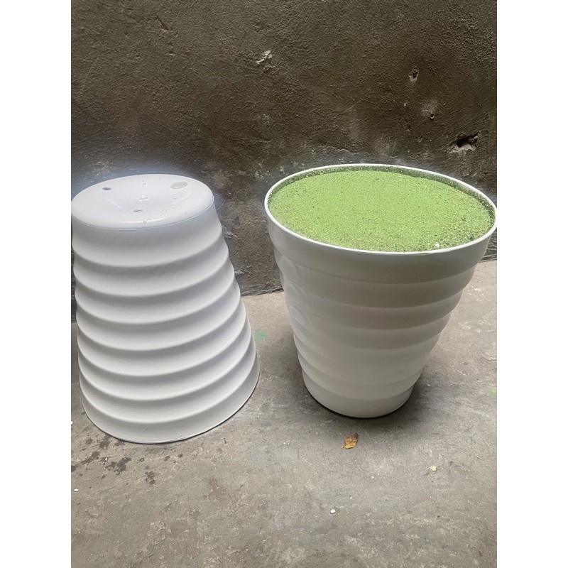 Chậu nhựa tròn xoắn trồng cây thật ,cây giả