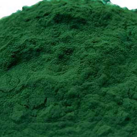 Bột Tảo Xoắn Nguyên Chất Spirulina ( 50gr ) - VASTCOM | BigBuy360 - bigbuy360.vn
