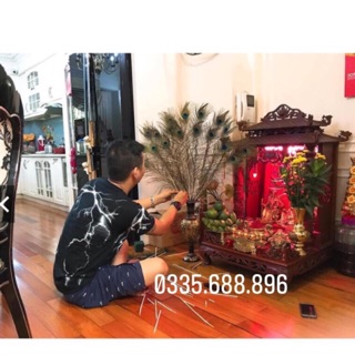 Combo 100 lông công tự nhiên 80cm - 90cm mắt nhỏ