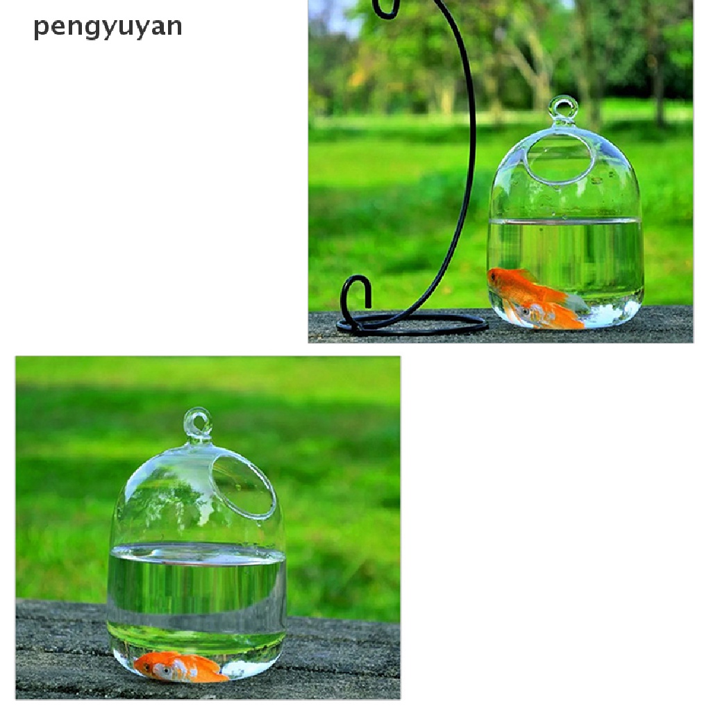 Bình Hoa Treo Tường Trang Trí Hình Cá Bằng Thủy Tinh DIY
