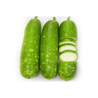 Hạt giống bầu sao quả ngắn F1 - 10 hạt