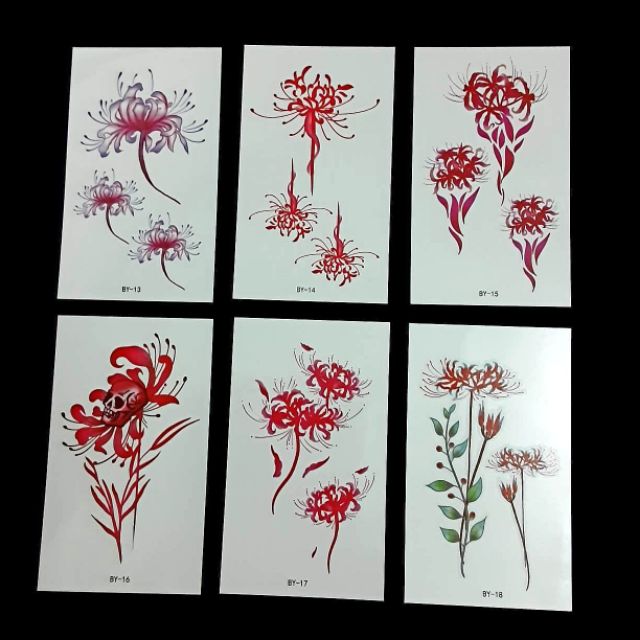Combo 30 tấm hình xăm nước hình xăm dán Hoa Bỉ Ngạn đẹp dễ thương hot hit giá rẻ