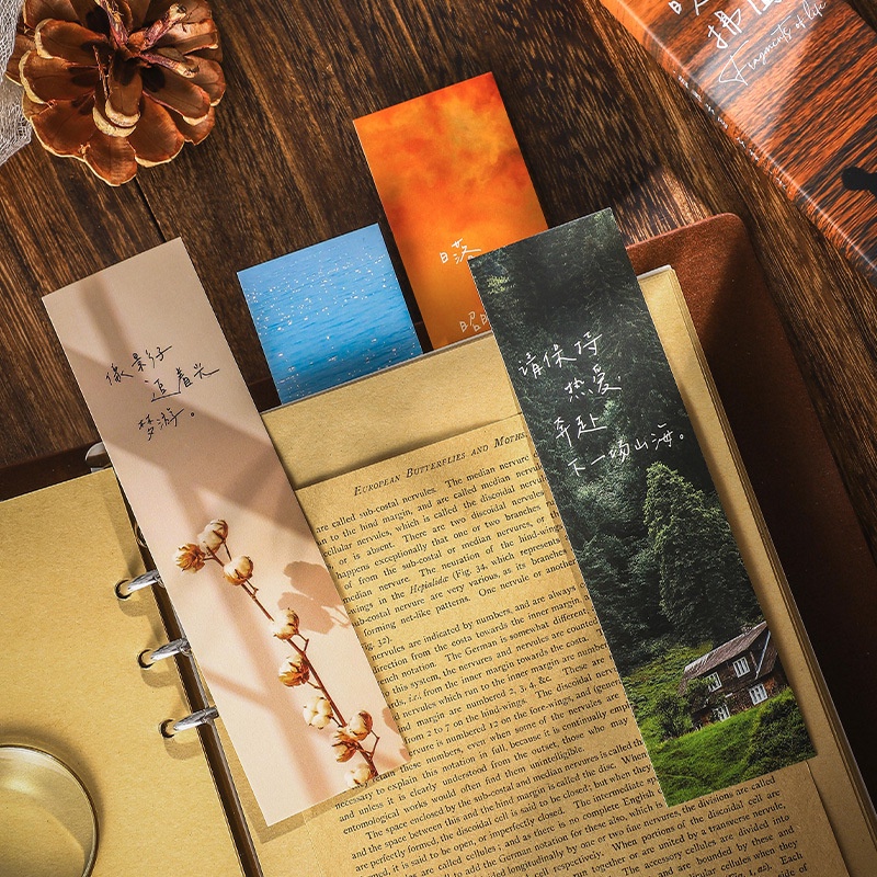 Hộp 30 tấm bookmark đánh dấu trang PHONG CẢNH HÌNH ẢNH CỦA CUỘC SỐNG - Tanpopo Sticker