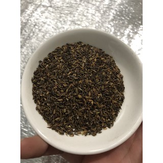 Hạt Giống Hoa thạch thảo Mix 50 Hạt/ Gói