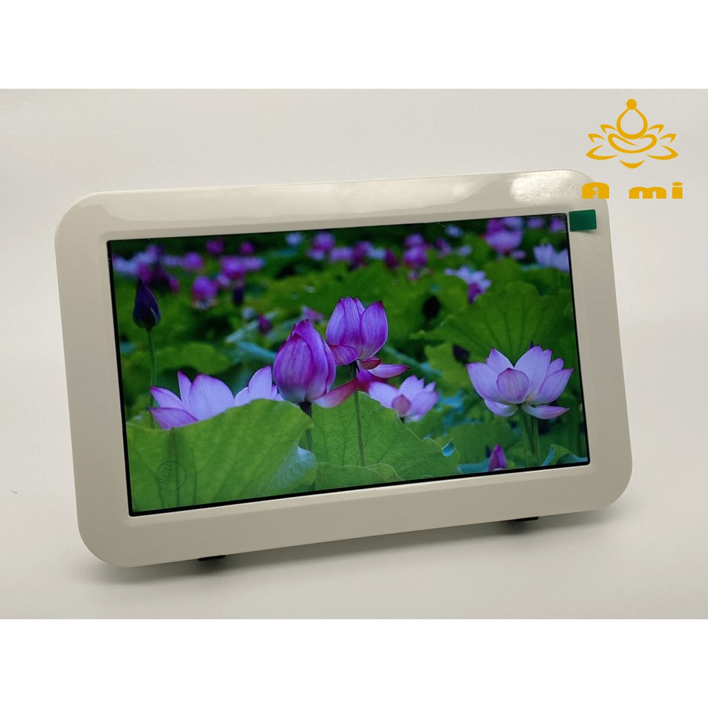 Máy Nghe Pháp video  JSV04