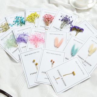 Thiệp chúc mừng handmade hoa cỏ khô