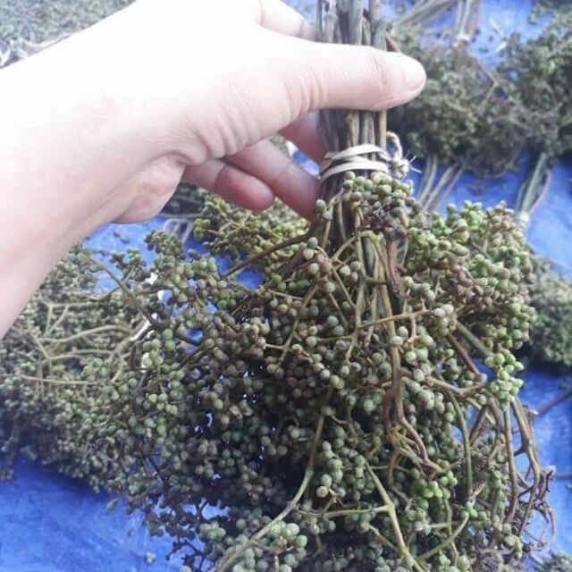 Hạt Mắc Khén