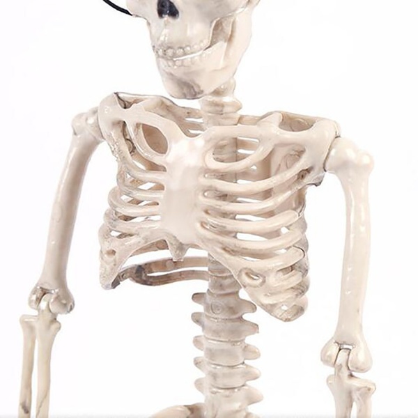 Bộ Xương Trang Trí Halloween 40cm