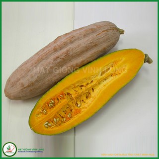 Hạt giống Bí sáp lai F1 RD 529 - 1g