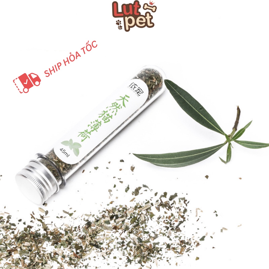 Cỏ Mèo bạc hà Catnip cỏ thơm cho mèo 45ml - lutpet