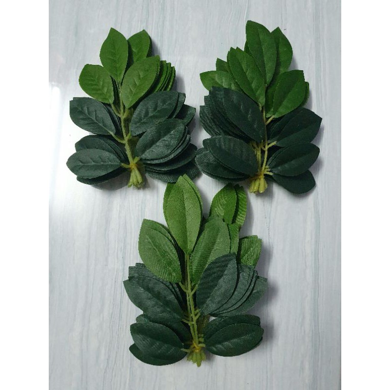 Combo 3 bó Lá bồ anh gân xanh