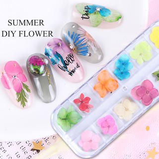Hoa khô ẩn gel khay dài