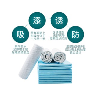 miếng  Tã tã khử mùi cho thú cưng