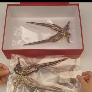 1 cặp cá ngựa [10-12cm]
