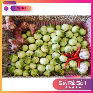 Hạt giống cà pháo xanh cao sản -2gr LUCKY.VN
