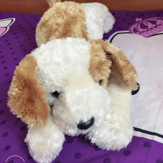 Set gấu cà na