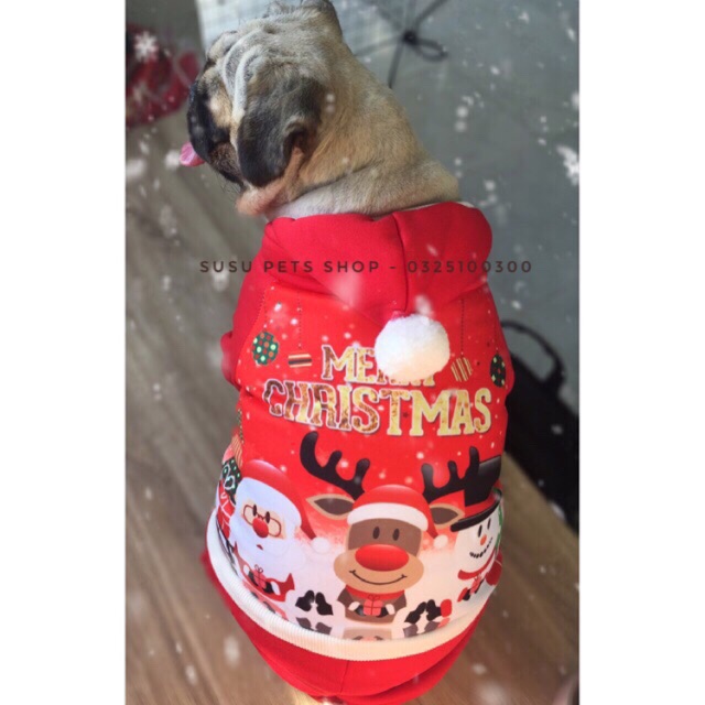 ĐỒ NOEL CHO CHÓ MÈO (ảnh thật)