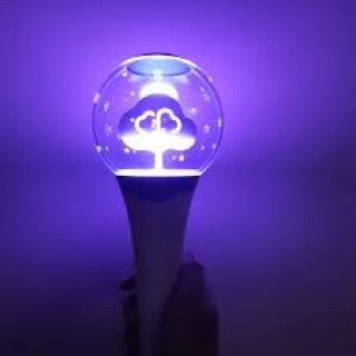 Lighstick Ha Sungwoon
