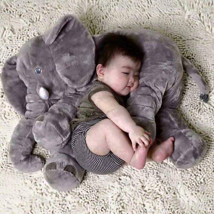 Voi bông cho bé yêu