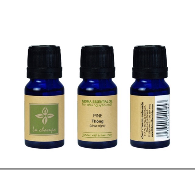 Tinh dầu Lachampa hương thông