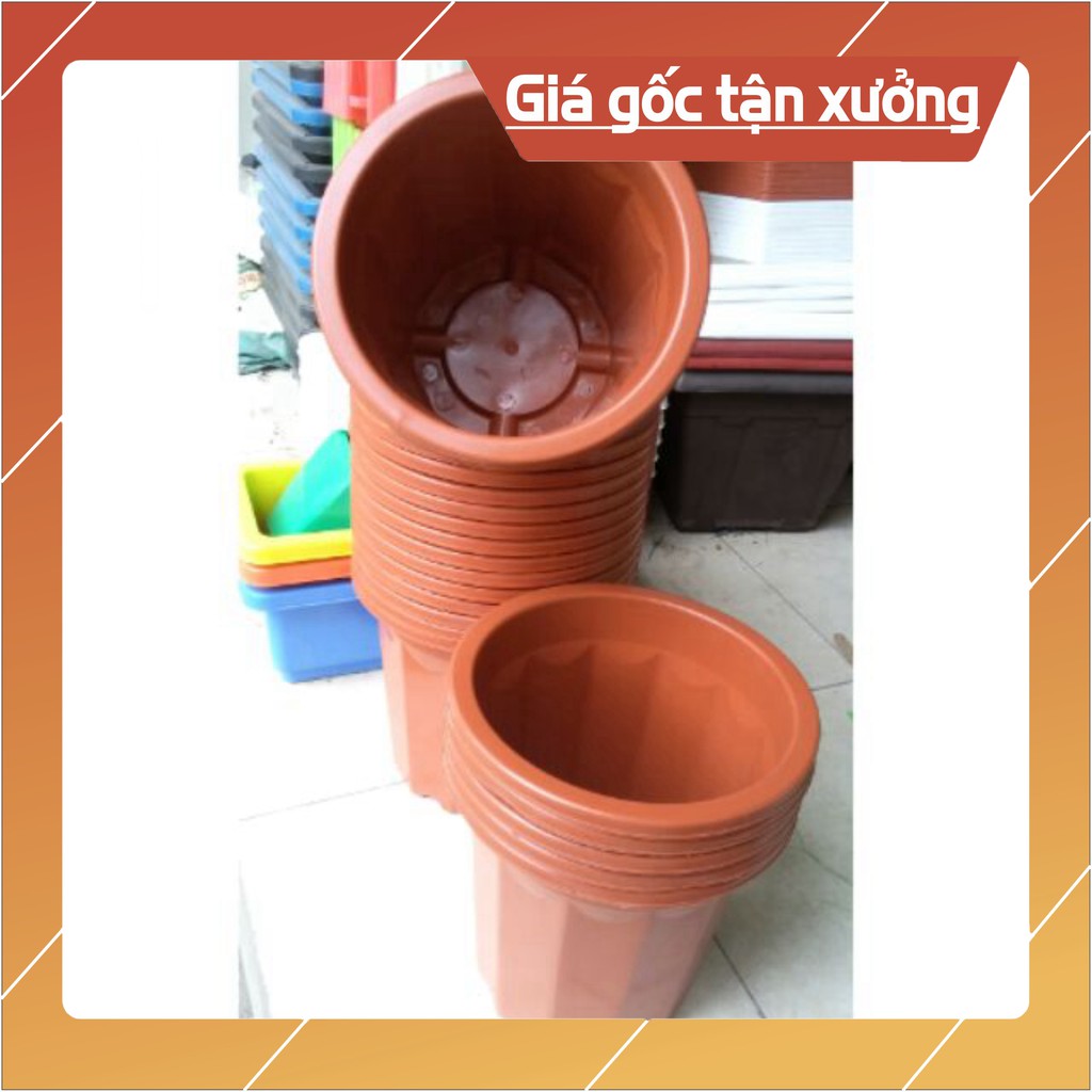 (Hot) Chậu tròn ươm cây E 300 cực xịn>">